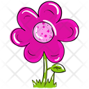 Coreopsis Daisy Flower Icon