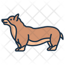 Corgi Dogs Pets Icon