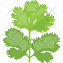 Coriander Green Herb Icon