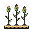 Corn Field Icon