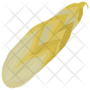 Corn Raw Maize Icon