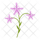 Wildflowers Flowers Plant Icon