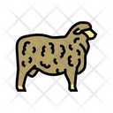 Corriedale Sheep Icon