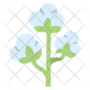 Cotton Flower Flower Agriculture Icon