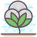 Cotton Flower Cotton Cotton Crop Icon