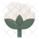 Cotton Flower Fluffy Staple Cellulose Fiber Icon