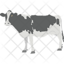 Cow Mammal Animal Icon