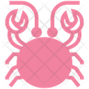Crab Mud Crab Seafood Icon