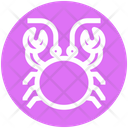 Crab Mud Crab Seafood Icon