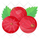 Cranberries Icon