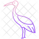 Crane Bird Flamingo Flightless Bird Icon