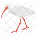 Crane Bird Flamingo Gruidae Icon