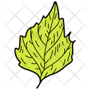 Crenate Leaf Leaf Foliage Icon