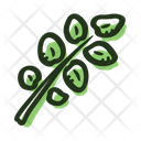 Cress  Icon