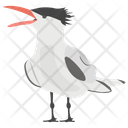 Crested Tern  Icon