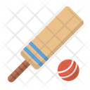 Ball Bat Cricket Icon