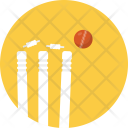 Wicket Ball Bails Icon