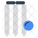 Cricket Wicket  Icon