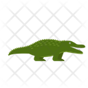 Crocodile Animal Zoo Icon