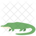 Crocodile Animal Creature Icon