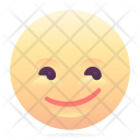 Crooked Smile Icon