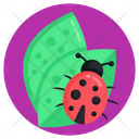 Crop Bug  Icon