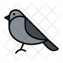 Crow Blackbird Bird Icon