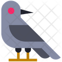 Halloween Bird Crow Icon