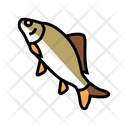Crucian Fish Icon