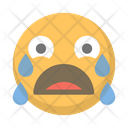 Crying Icon
