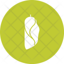 Cuccoon Animal Wildlife Icon
