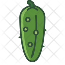 Cucumber Vegetable Garden Icon