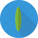 Cucumber Vegetable Food Icon