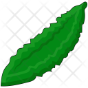 Cucumber Food Vegetable Icon