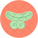 Cucumber Cucumis Sativus Icon