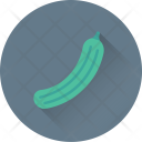 Cucumber Vegetable Zucchini Icon