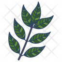 Curry Leaves Icon