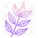 Curry Leaves  Icon