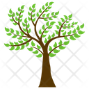Curry Tree Murraya Icon