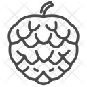 Custard Apple Sugar Apple Sweetsop Icon