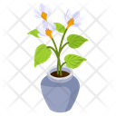 Cyclamen Plant Icon