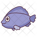 Fish Aquatic Animal Specie Icon
