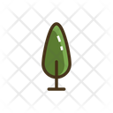 Cypress Pine Tree Tree Icon