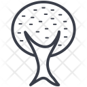 Cypress Icon
