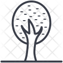 Cypress Icon