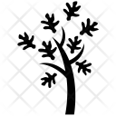 Cypress leaves Icon