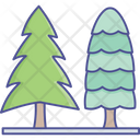 Cypress Tree Evergreen Trees Forest Icon