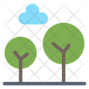 Cypress Tree Icon
