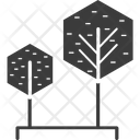 Cypress Tree Shrub Tree Trees Icon