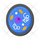 Cytoplasm Icon